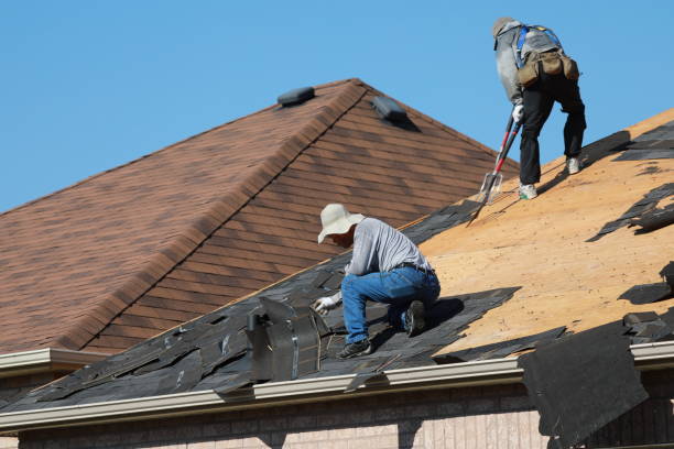 Roof Coating Services